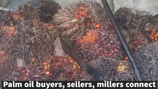 Palm oil buyers, sellers, millers connect