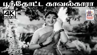 Poonthotta Kavalkara T.M.சௌந்தர்ராஜன் P.சுசிலா பாடிய  நாட்டுப்புற பாடல் பூந்தோட்ட காவல்காரா