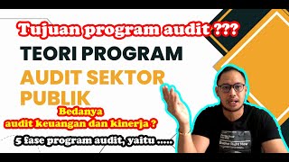 Teori Program Audit Sektor Publik