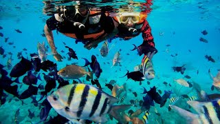 SNORKELING DI PULAU RUBIAH SABANG ACEH