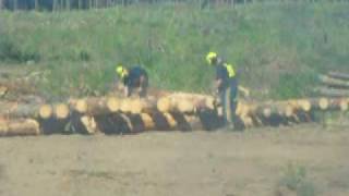 logging truck driving up to a skid site