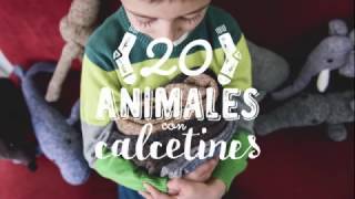 20 animales con calcetines