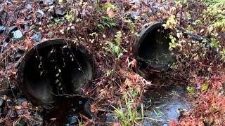 Checking back on unblocked culvert pipes