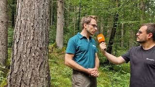 Anpassung an den Klimawandel: Mit dem Förster im "Wald der Zukunft"