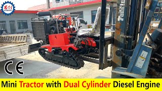 Mini Tractor with Strong Power Dual Cylinder Diesel Engine