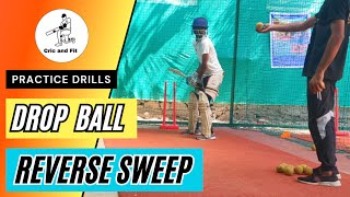 Drop Ball practice drill | Reverse sweep shot | reverse sweep shot drills #cricket #cricandfit