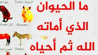 ألغاز للأذكياء/أختبر معلوماتك