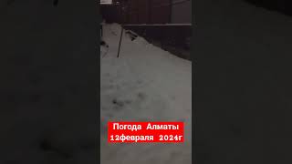 ‼️В Алматы уже вечер а снег не прекращает идти ‼️12.02.24г‼️🥶🥶🥶🥶🥶🥶🥶🥶