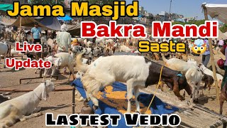 Jama Masjid Bakra Mandi 2024 Lastest Vedio || दिल्ली की सबसे सस्ती बकरा मंडी||  Bakra Mandi 2024🔥