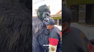 Detik Detik Kingkong berpelukan #singadepok #shorts #kingkong