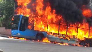 Arde bus en cardenal herrera oria