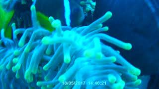 Nemo's @ Gabel El Rosas Rif Marsa Alam Egypte