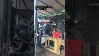 Brutal Sound of a Yamaha R1M on the Dyno by steadfast performance #texas #yamaha #r1m #crossplane