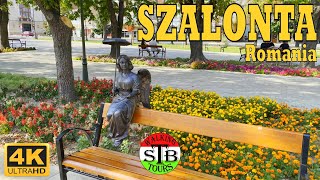 Salonta Romania 🇷🇴 2022 Summer walking in the center [20 min] 4k UHD