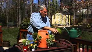 How To Start A Container Garden