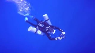 Diving With Oceanic White Tip Sharks Close Up. Red Sea, Egypt