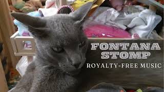 🎵 "FONTANA STOMP" | instrumental music influenced by "The Game of Love"