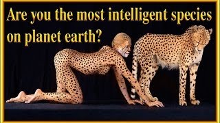 ARE YOU THE MOST INTELLIGENT SPECIES ON PLANET EARTH?