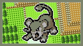 SHINY RATTATA after 2,583 REs | Crystal DTQ