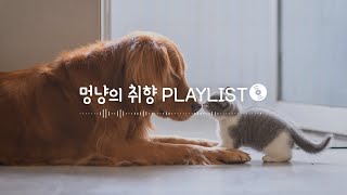 Playlistㅣ혼자여도 괜찮아😎 집사가 외출해도 릴렉스하는 반려동물 심리안정 테라피 사운드 모음ㅣPet Music 강아지 고양이 음악 (분리불안 완화, 짖음 완화, 반려동물진정)