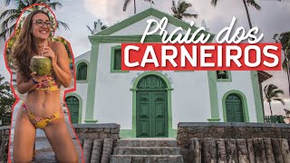 COMO FUNCIONA A PRAIA DOS CARNEIROS, EM PERNAMBUCO? Acessos, pontos de apoio e passeios