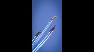 P-38 Lightning +Alpha Jet || Flying Bulls Formatin Flying #shorts