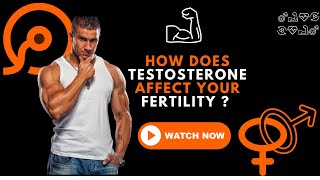 How does Testosterone Affect Your Fertility