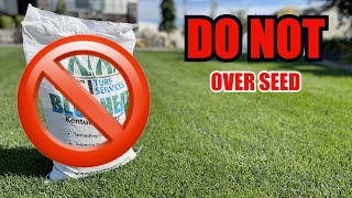 Over Seeding Your Lawn? It’s NOT For You!