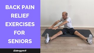 Back Pain Relief Exercises for Seniors, exercises for the elderly, senior fitness exercises