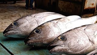 Live 01 Okt 24 ‼️🔥🔥 Fresh Yellowfin Tuna Cutting at the fish market, Sorong, Southwest Papua