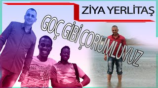 GOÇ GİBİ ÇORUMLUYUZ (ZİYA YERLİTAŞ)2015