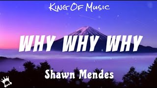 Shawn Mendes - Why Why Why (Lyrics)