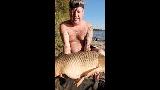 Carp fishing in muddy water, Danube!🔥