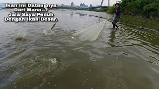 Jala Ikan Belanak Di Muara Sekali Tebar Babon Semua / Best Net Fishing