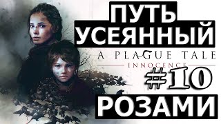 A Plague Tale: Innocence ► #10 ПУТЬ УСЕЯННЫЙ РОЗАМИ