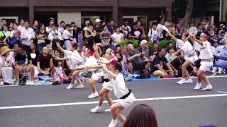 高円寺阿波おどりTokyo dance Koenji Awa Odori（dance） Festival 東京観光 夏祭り