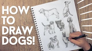 How To Draw Dogs Of Any Breed! // Learn How To Sketch (Step by Step)