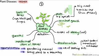 Plant Diseases, higher tier,  for AQA 9-1 GCSE Biology Only