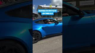 Mustang GTD Spotted in Lighting Blue! #ahorts #mustanggtd #carcommunity