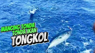 BANYAK BANGET IKAN YANG NYANGKUT PANCING TONDA TONDA IKAN TONGKOL|FISHING