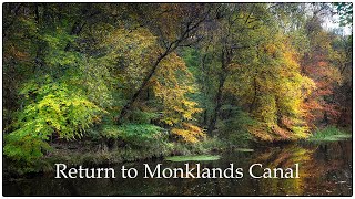 Return to Monklands Canal - Autumn Photography