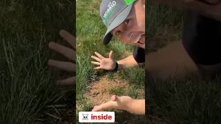 How To Fix An Ugly Lawn #lawn #lawncare #grass