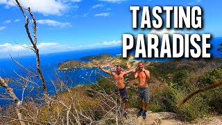 This Could Be YOU! / Caribbean Experience / The Sailing Brothers Ep 59