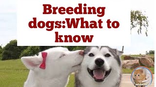 Breeding your dog:What to know??നിങ്ങളുടെ നായയുടെ പ്രജനനം: എന്താണ് അറിയേണ്ടത് ??