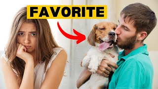 Dog Likes Your Partner More Than You