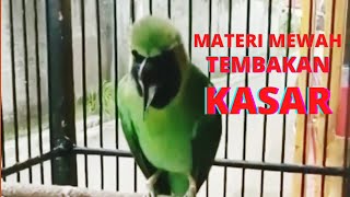 MATERI MEWAH IJO GACOR NGENTROK FULL TEMBAKAN KASAR