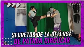 Como DEFENDER las Patadas Circulares | Kickboxing Holandes