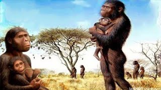 Human theory of  evolution |आदिमानव की उत्पति व विकास | aadimanav ki utpatti | aadimanav ka itihaas