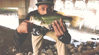 Unexpected bass caught in Red Breast sunfish infested Huntsville Alabama creek.