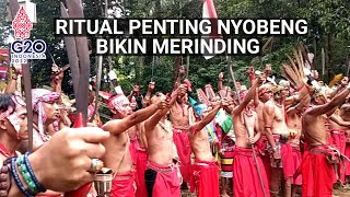 Ritual Penting Nyobeng atau Nibakng Suku Dayak Bidayuh Sebujit Bikin Merinding